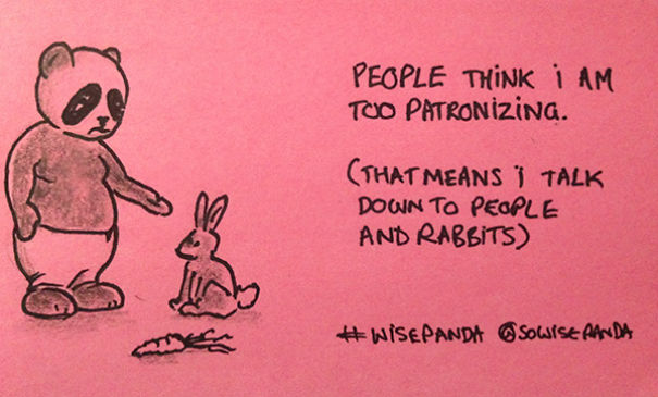 Insights From A Panda