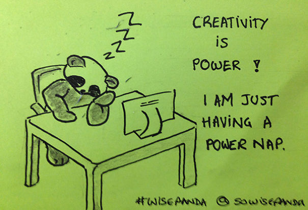 Insights From A Panda
