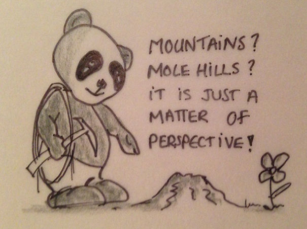 Insights From A Panda
