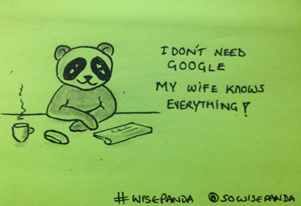 Insights From A Panda