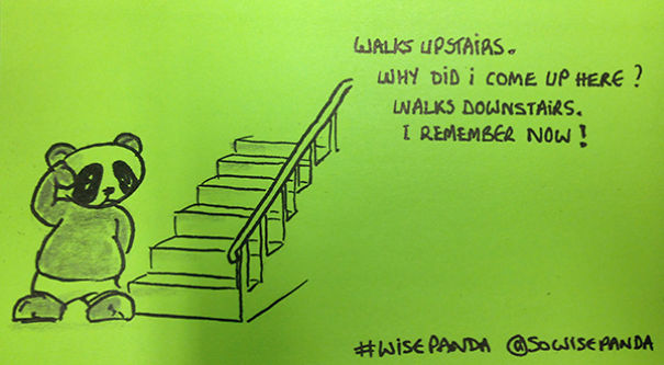 Insights From A Panda
