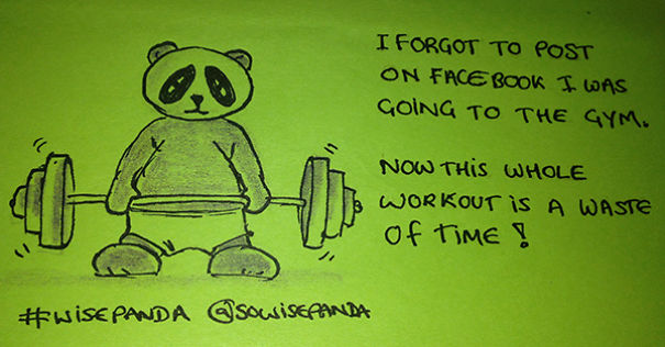 Insights From A Panda