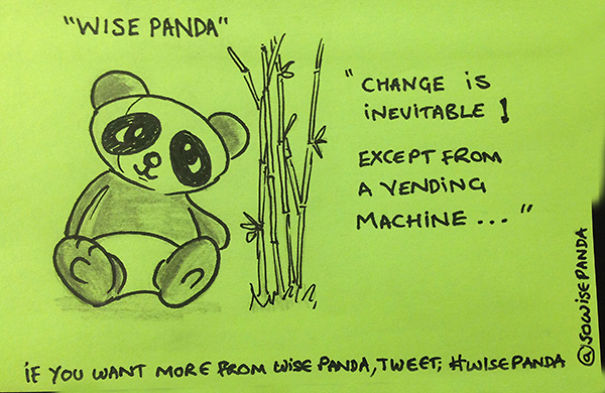 Insights From A Panda