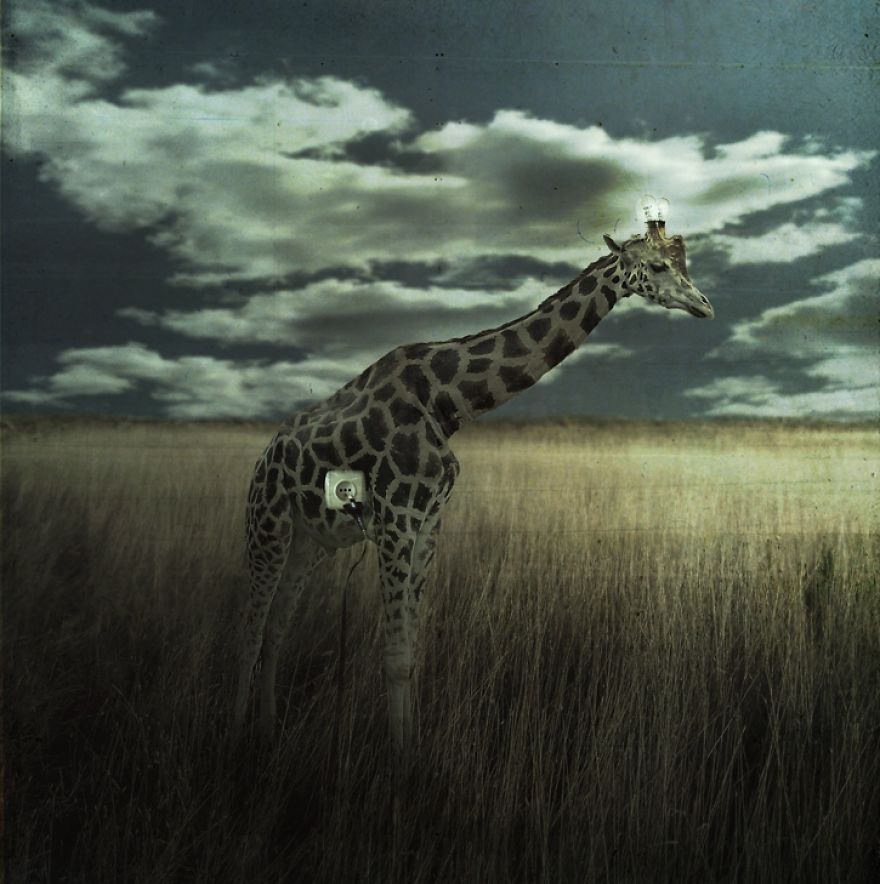 Surreal Portraits Of Animals Traveling The Earth