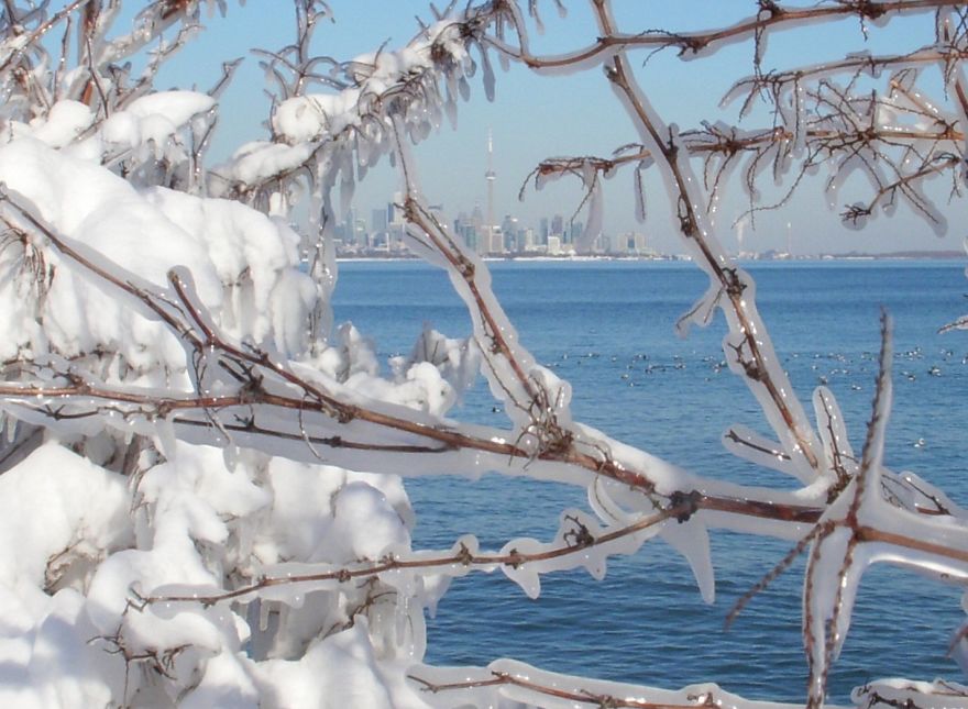 Frozen Wonderland, Toronto Skyline