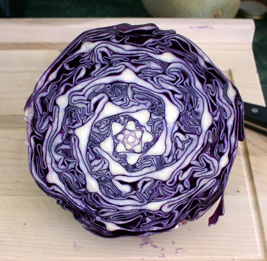 Fractal Cabbage