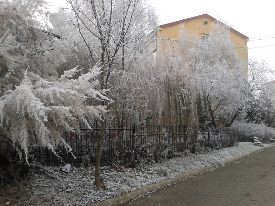 Winter In Cluj