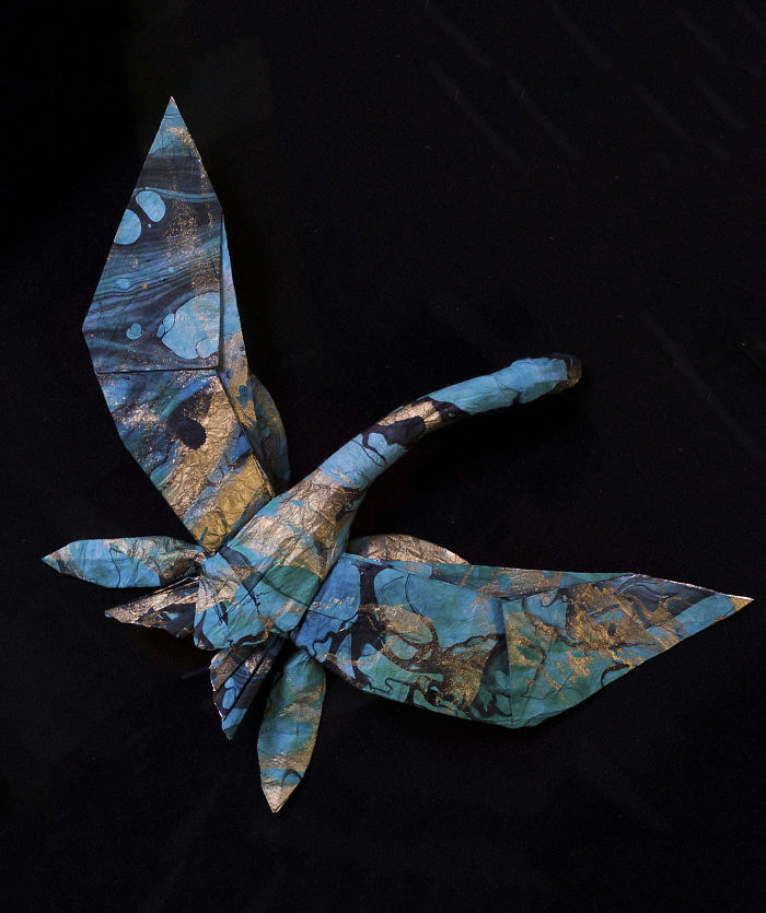 Origami Swallow-tailed Cryptoclidus