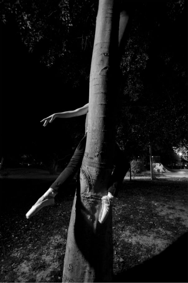 The Ballet Project