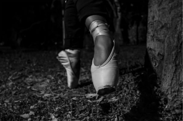 The Ballet Project