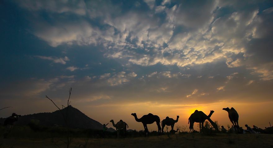 What My Eyes Captured From Rajasthan
