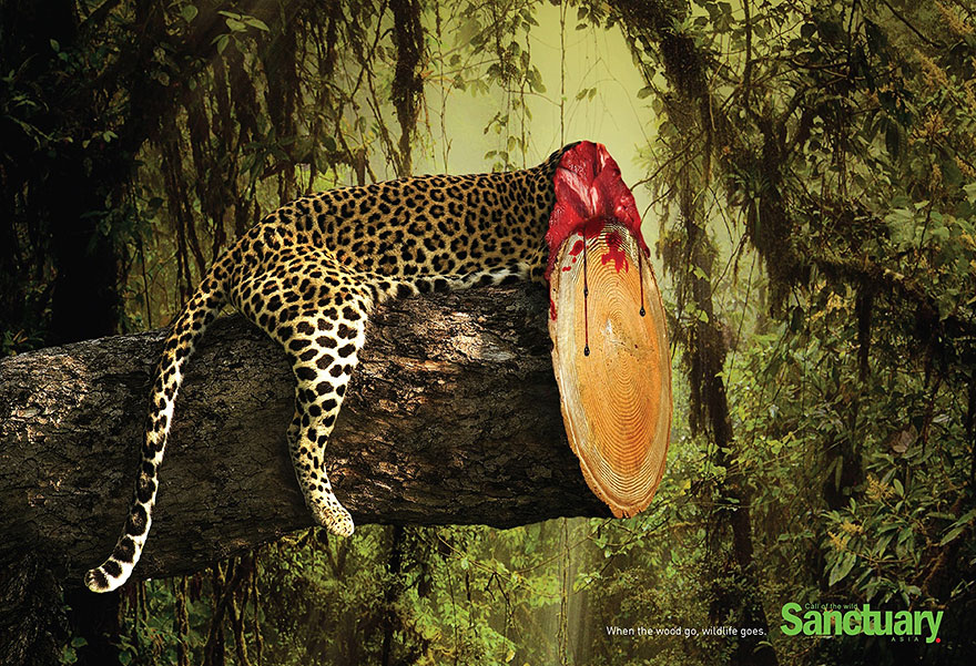 Shocking Effects Of Deforestation Exposed In Brutal Print Ads