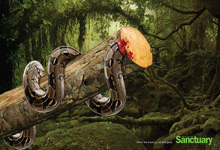 Shocking Effects Of Deforestation Exposed In Brutal Print Ads