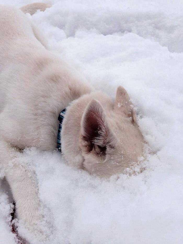 Kiora's First Snow Day