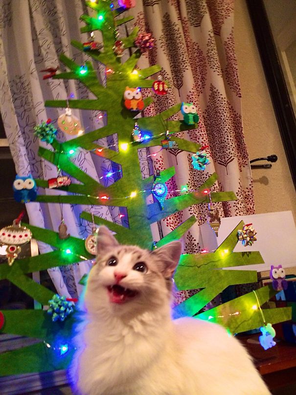 Cat-Safe 2d Christmas Tree