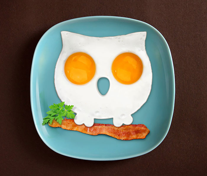 Owl Fried Egg Shaper