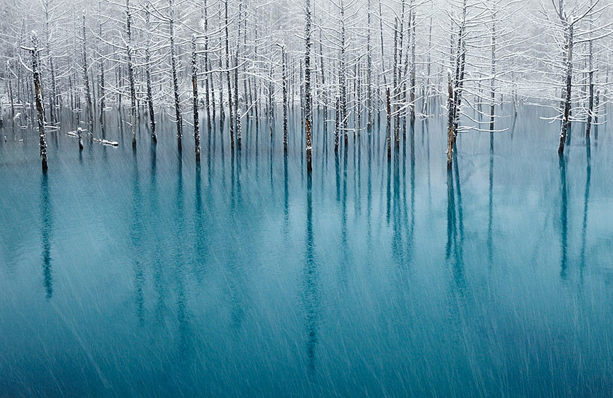 Blue Pond In Japan
