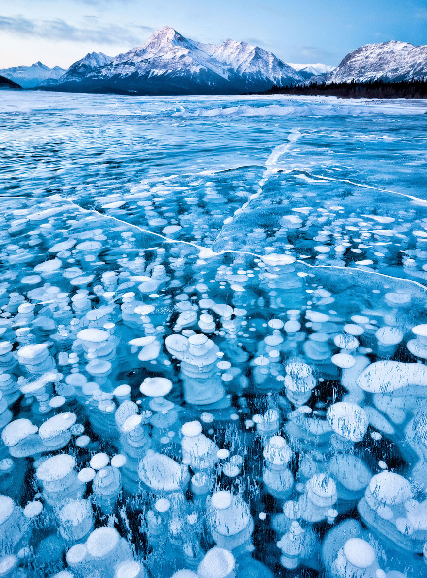 Bubbles Under The Ice Of Abraham Lake, Canada