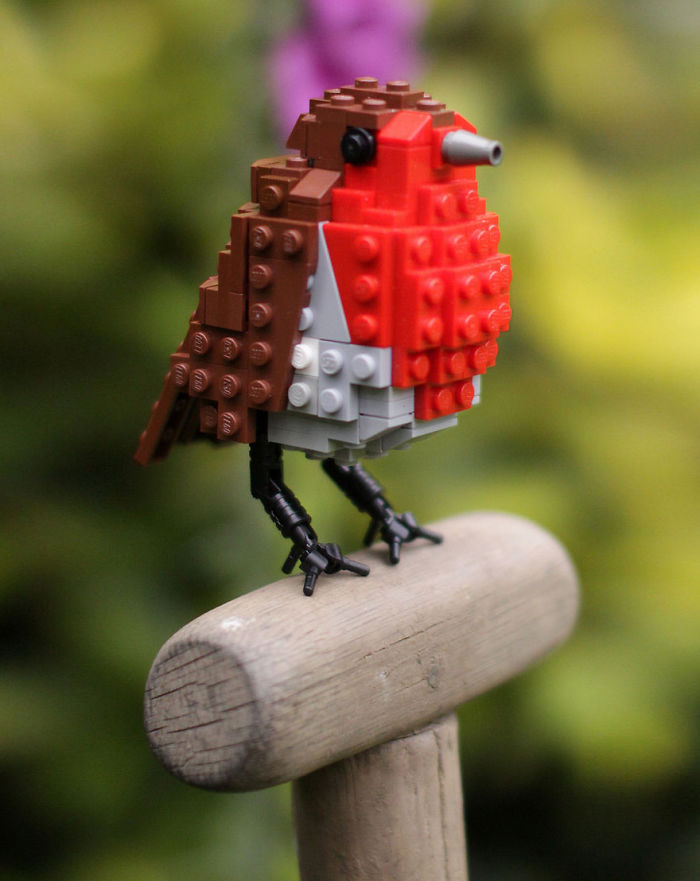 Bird Lego Series