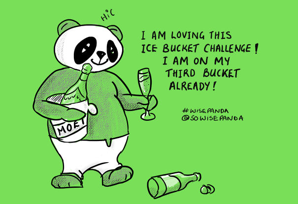 Insights From A Panda