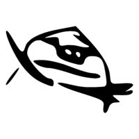 mmrtnt