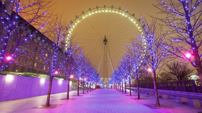 London Eye Purple Christmas Lights