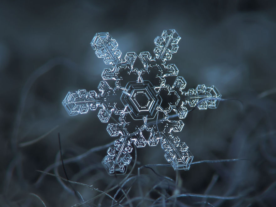 An Example Of A Close Up Snowflake