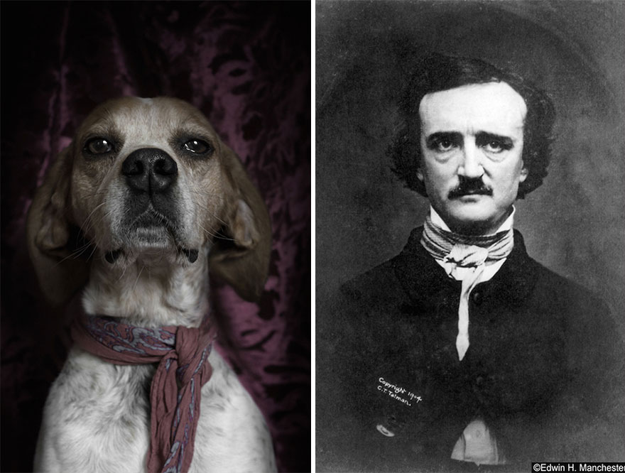 Poetic Dogs: Photo Project Compares Shelter Dogs And Famous Writers' Expressions