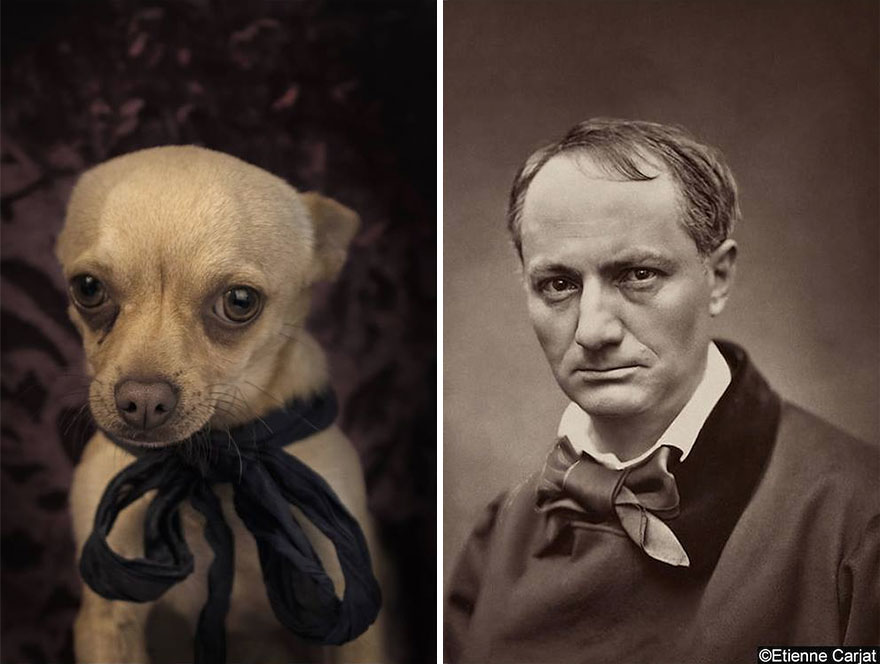 Poetic Dogs: Photo Project Compares Shelter Dogs And Famous Writers' Expressions