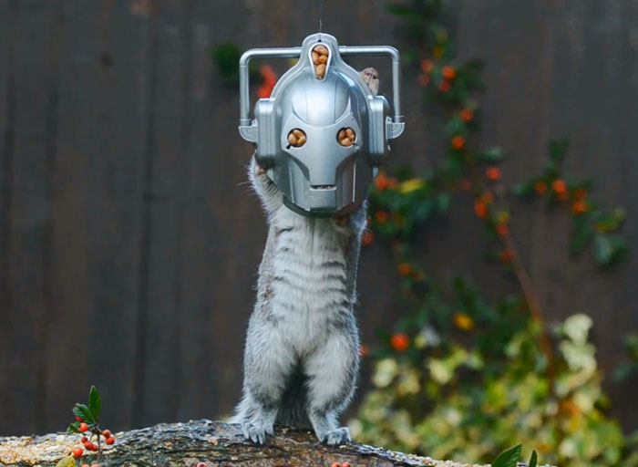 CyberSquirrel: Feeder Turns Squirrel Into Doctor Who’s Deadly Enemy