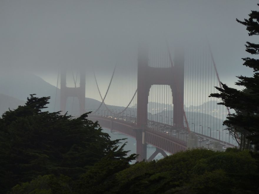 Winter Isn't Much In Sf, So Here's A Picture In The Summer. Yes, It's Colder In The Summer.