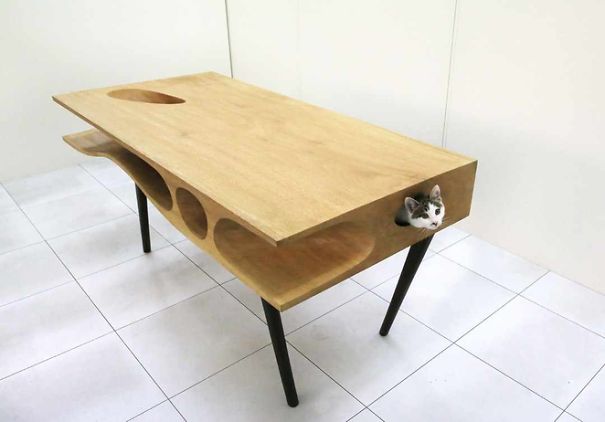 A Table With Spaces For Cats
