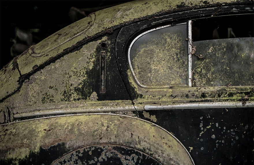 60 Vintage Cars Found After 50 Years Of Neglect On French Farm Are Worth At Least £12 Million