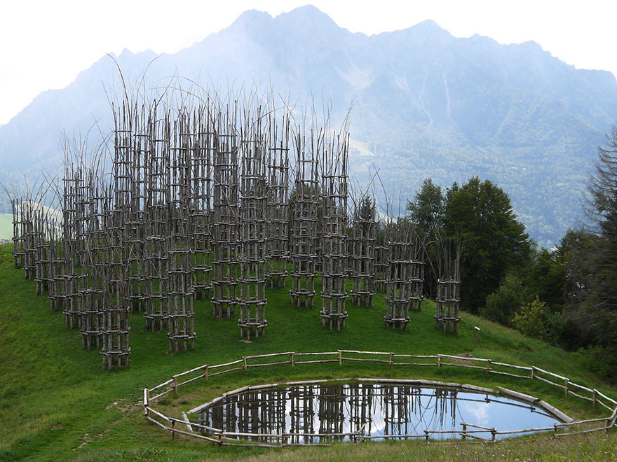 A Majestic Cathedral Made Of Living, Breathing Trees