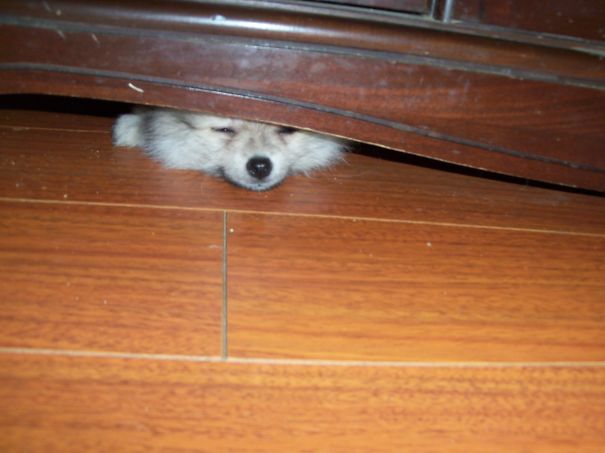 Playing Hide And Seek From My Brothers...