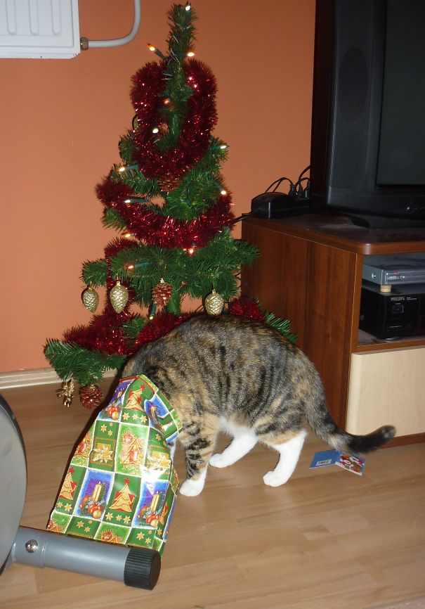Where Is My Present ??????????