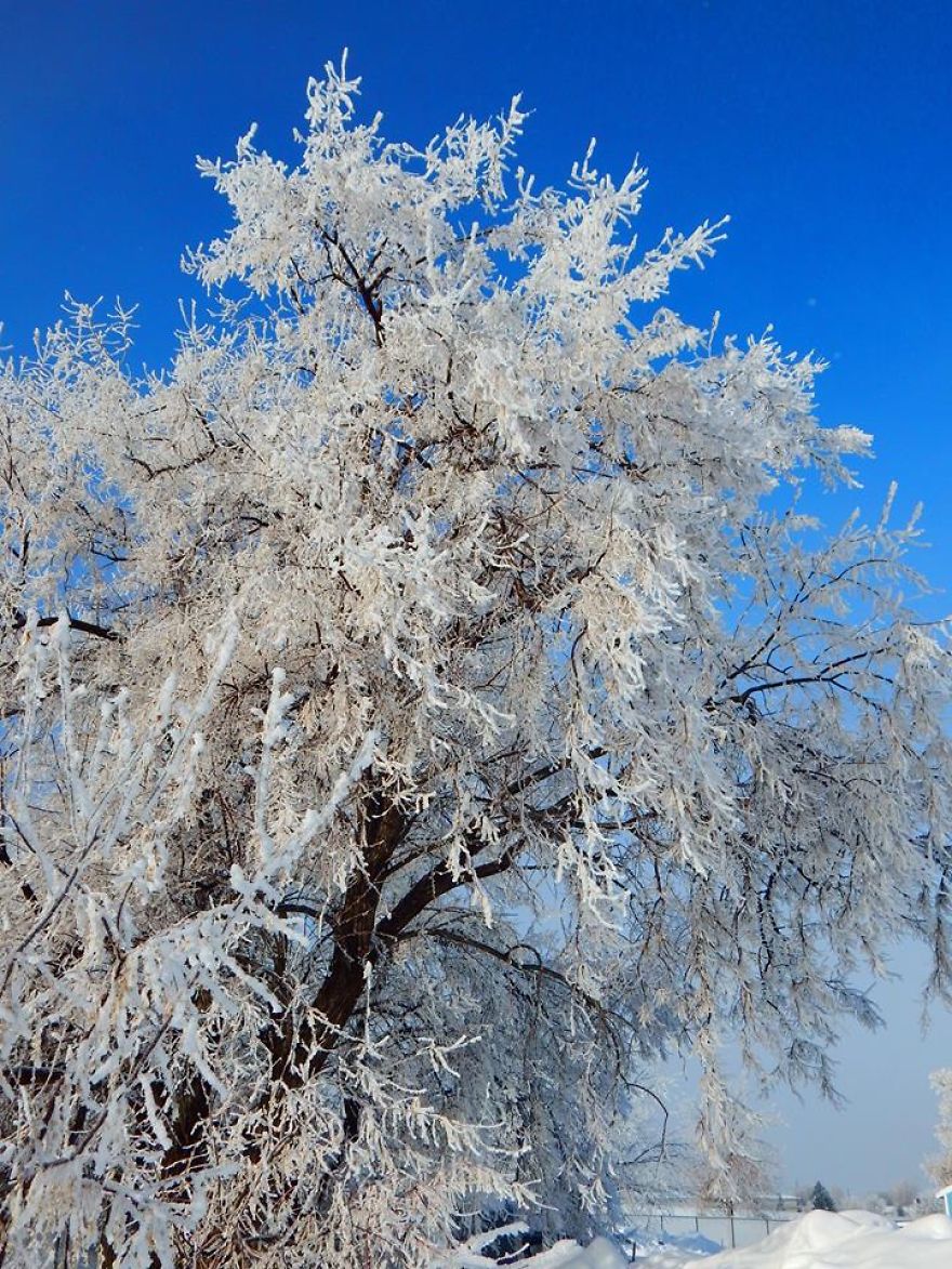 The Blues Of Winter