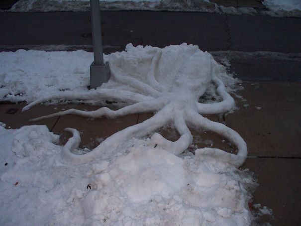 Snoctopus By Squirly Nutz