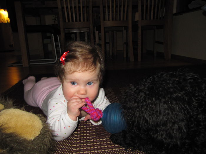 Who Owns A Toy?