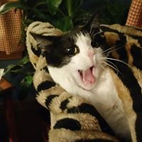 joanne_woods_900 avatar