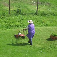 54aeb28da1320 avatar