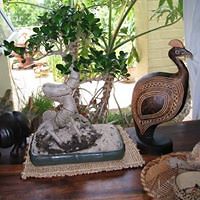 delphine_dutoit avatar