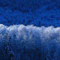 leila_carpenter avatar