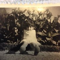 vitoria_santos1 avatar