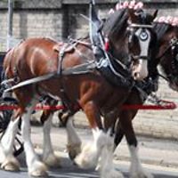 ian_wright_900 avatar