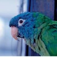 leesalee_munstach avatar