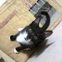 soonjung_kang_37 avatar