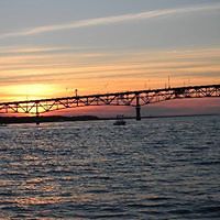 nancy_erminelli avatar