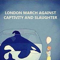 lynne_hertnon avatar