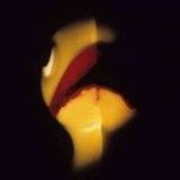 54c5a987b594e avatar